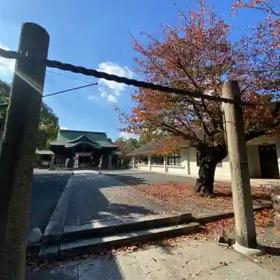 豊山八幡神社(福岡県)