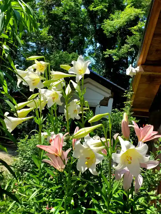 岡部春日神社~👹鬼門よけの🌺花咲く🌺やしろ~(福島県)