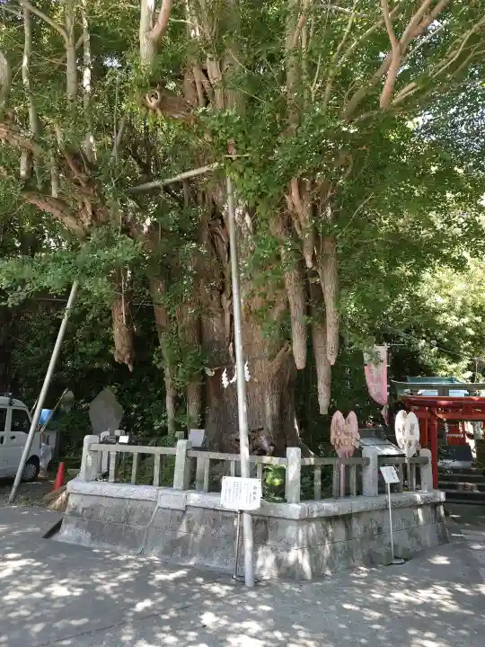 海南神社の{uncategorized: "未分類", other: "その他", undefined: "問題あり", building: "その他建物", grave: "お墓", sacred_gate: "鳥居", guardian: "狛犬", statue: "像", buddha: "仏像", history: "歴史", nature: "自然", garden: "庭園", animal: "動物", pagoda: "塔", temizu: "手水舎", mountain_gate: "山門・神門", sanctuary: "本殿・本堂", subordinate: "末社・摂社", art: "芸術", scenery: "景色", jizo: "地蔵", ema: "絵馬", goshuin: "御朱印", omikuji: "おみくじ", items: "授与品その他", amulet: "お守り", goshuincho: "御朱印帳", eats: "食事", festival: "お祭り", votive_dance: "神楽", shichigosan: "七五三参", wedding: "結婚式", experience: "体験その他", initially: "初詣", around: "周辺", anti_infection: "感染症対策"}