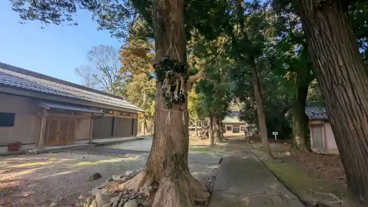 天神神社の{uncategorized: "未分類", other: "その他", undefined: "問題あり", building: "その他建物", grave: "お墓", sacred_gate: "鳥居", guardian: "狛犬", statue: "像", buddha: "仏像", history: "歴史", nature: "自然", garden: "庭園", animal: "動物", pagoda: "塔", temizu: "手水舎", mountain_gate: "山門・神門", sanctuary: "本殿・本堂", subordinate: "末社・摂社", art: "芸術", scenery: "景色", jizo: "地蔵", ema: "絵馬", goshuin: "御朱印", omikuji: "おみくじ", items: "授与品その他", amulet: "お守り", goshuincho: "御朱印帳", eats: "食事", festival: "お祭り", votive_dance: "神楽", shichigosan: "七五三参", wedding: "結婚式", experience: "体験その他", initially: "初詣", around: "周辺", anti_infection: "感染症対策"}