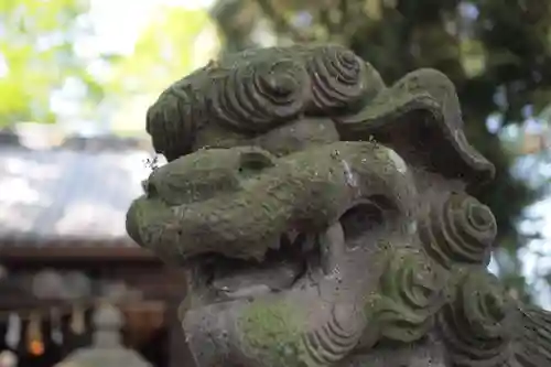 八坂神社の狛犬