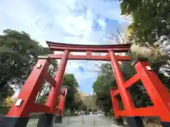 一之宮貫前神社の鳥居