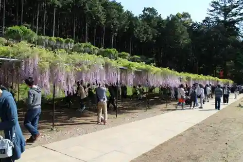 天台宗 五大山 白毫寺の庭園