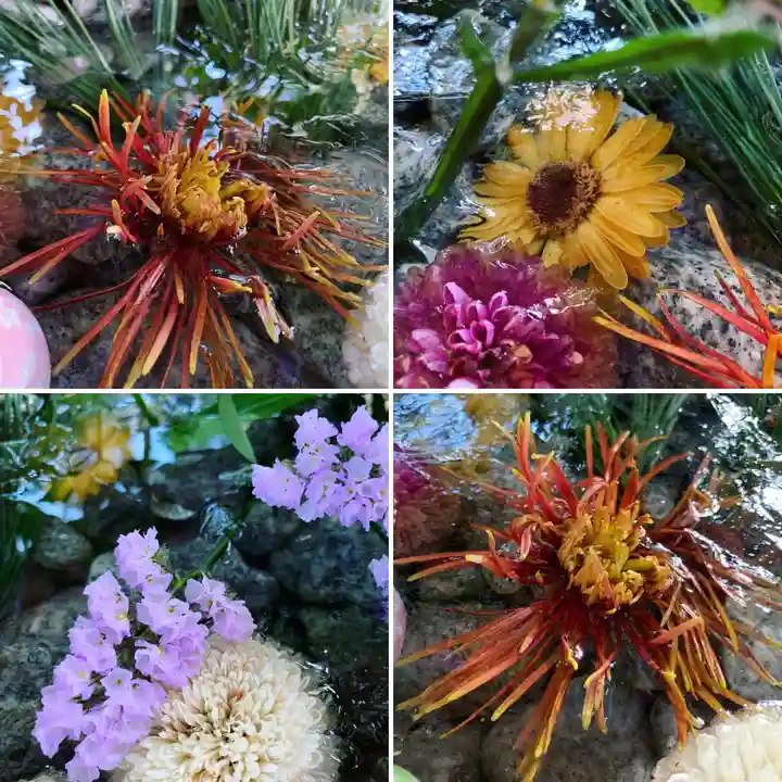 滑川神社 - 仕事と子どもの守り神の手水舎