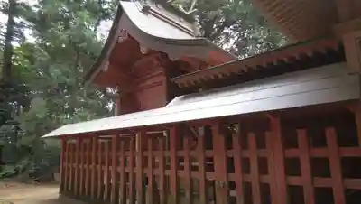 近津神社の本殿・本堂