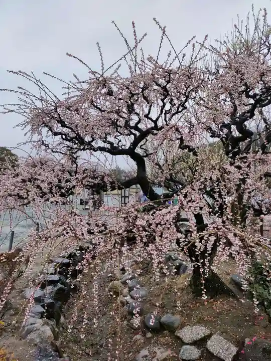結城神社の庭園