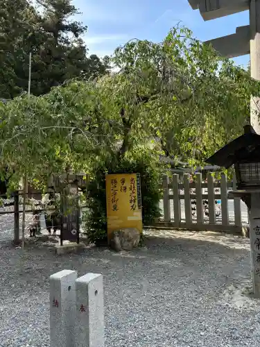 小國神社の{uncategorized: "未分類", other: "その他", undefined: "問題あり", building: "その他建物", grave: "お墓", sacred_gate: "鳥居", guardian: "狛犬", statue: "像", buddha: "仏像", history: "歴史", nature: "自然", garden: "庭園", animal: "動物", pagoda: "塔", temizu: "手水舎", mountain_gate: "山門・神門", sanctuary: "本殿・本堂", subordinate: "末社・摂社", art: "芸術", scenery: "景色", jizo: "地蔵", ema: "絵馬", goshuin: "御朱印", omikuji: "おみくじ", items: "授与品その他", amulet: "お守り", goshuincho: "御朱印帳", eats: "食事", festival: "お祭り", votive_dance: "神楽", shichigosan: "七五三参", wedding: "結婚式", experience: "体験その他", initially: "初詣", around: "周辺", anti_infection: "感染症対策"}
