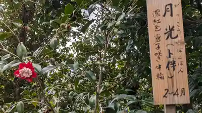 城南宮(京都府)