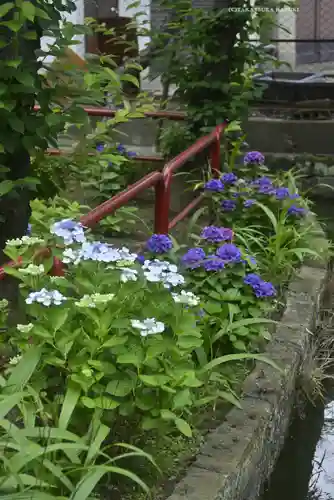 磐井神社の自然
