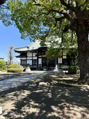 泉龍寺(神奈川県)
