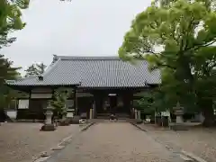 大樹寺（松安院大樹寺）の本殿