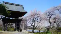 安養寺の山門