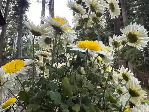 大宮温泉神社(栃木県)