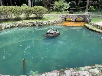 大麻比古神社(徳島県)