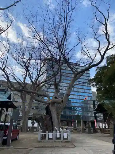 阿邪訶根神社のその他建物