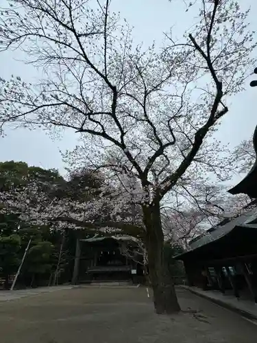 宇都宮二荒山神社(栃木県)