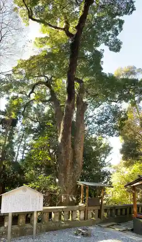 久能山東照宮の自然
