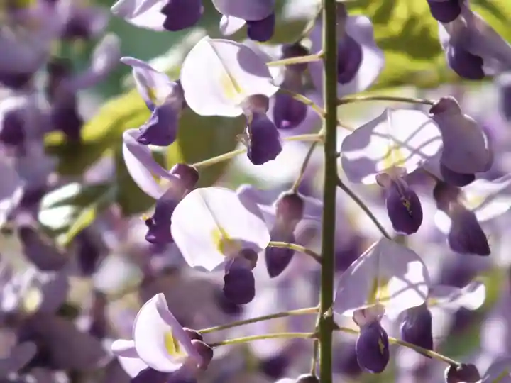 惣社神社のその他建物
