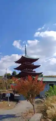家原寺(大阪府)