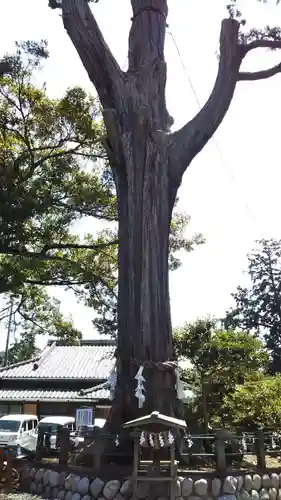 矢奈比賣神社（見付天神）の自然