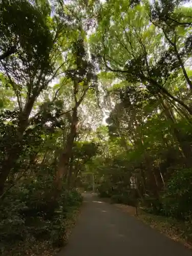 明治神宮(東京都)