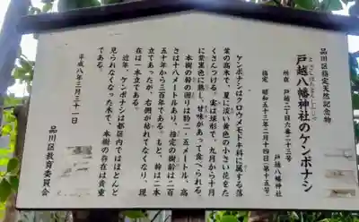 戸越八幡神社(東京都)