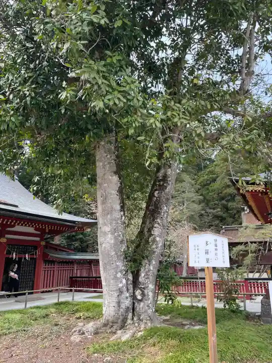 志波彦神社・鹽竈神社(宮城県)