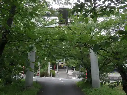 諏訪神社の鳥居