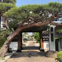 法源寺の山門・神門