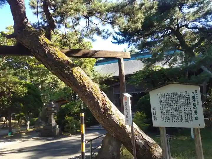 八幡神社(秋田県)