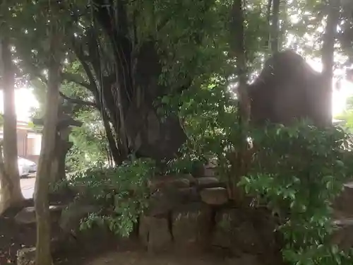 八劔神社（阿野八剱神社）(愛知県)