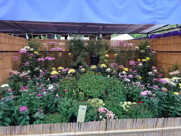 宗像大社(福岡県)