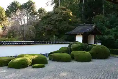 正伝護国禅寺(正伝寺･正傳寺)(京都府)