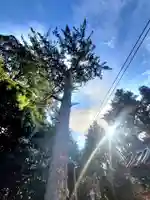 滑川神社 - 仕事と子どもの守り神(福島県)