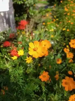 鷺宮八幡神社(東京都)
