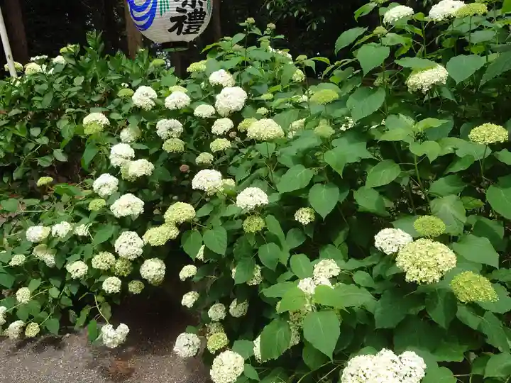 磯山神社(栃木県)