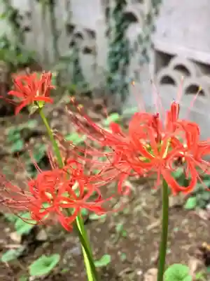 田端神社(東京都)