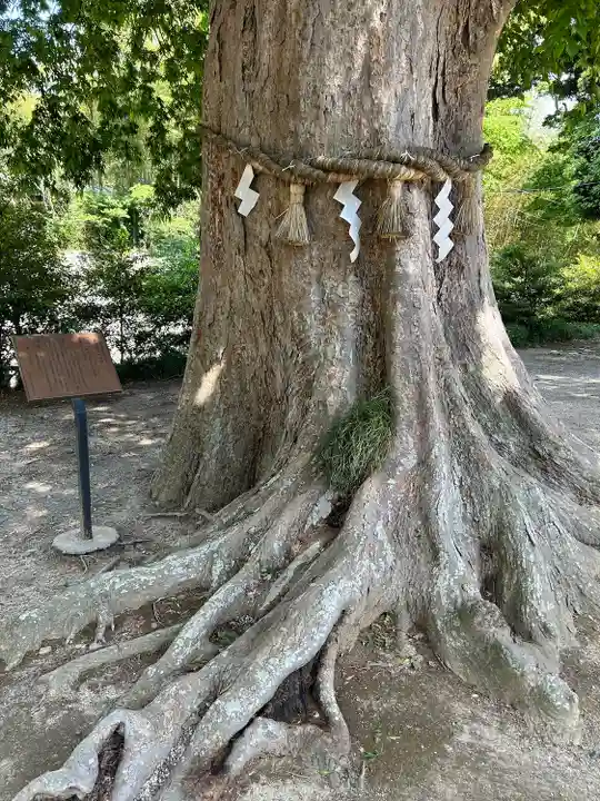 素鵞神社(茨城県)