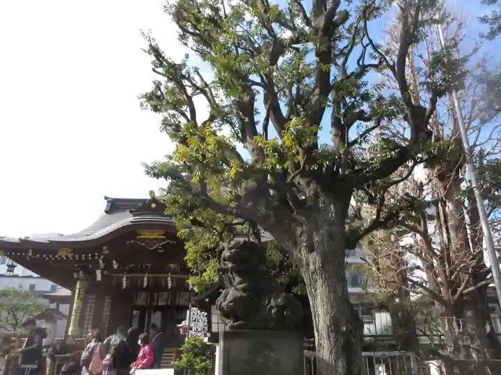 大鳥神社(東京都)
