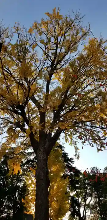 葛西神社(東京都)