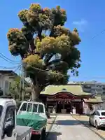 加賀屋天満宮(大阪府)