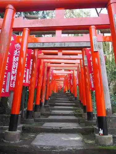 佐助稲荷神社の鳥居