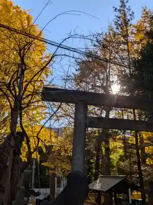 諏訪神社(東京都)