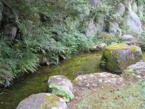 正蓮寺の庭園