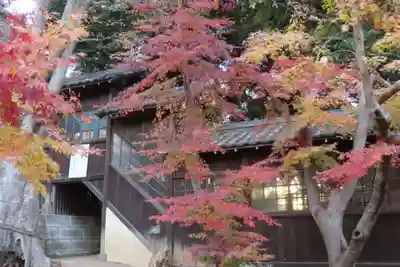 本土寺のその他建物