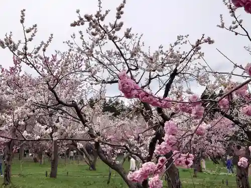 北海道神宮の庭園