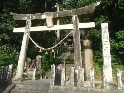 八王子神社の鳥居