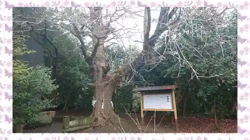 鎌数伊勢大神宮(千葉県)