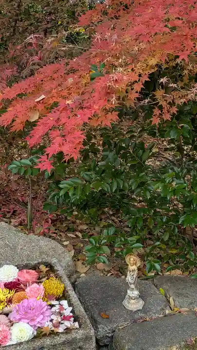 勝林寺(京都府)