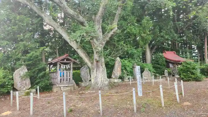 温泉神社(岩手県)